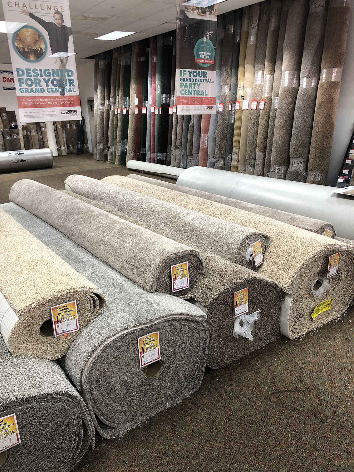 In stock carpet up to 50% off!